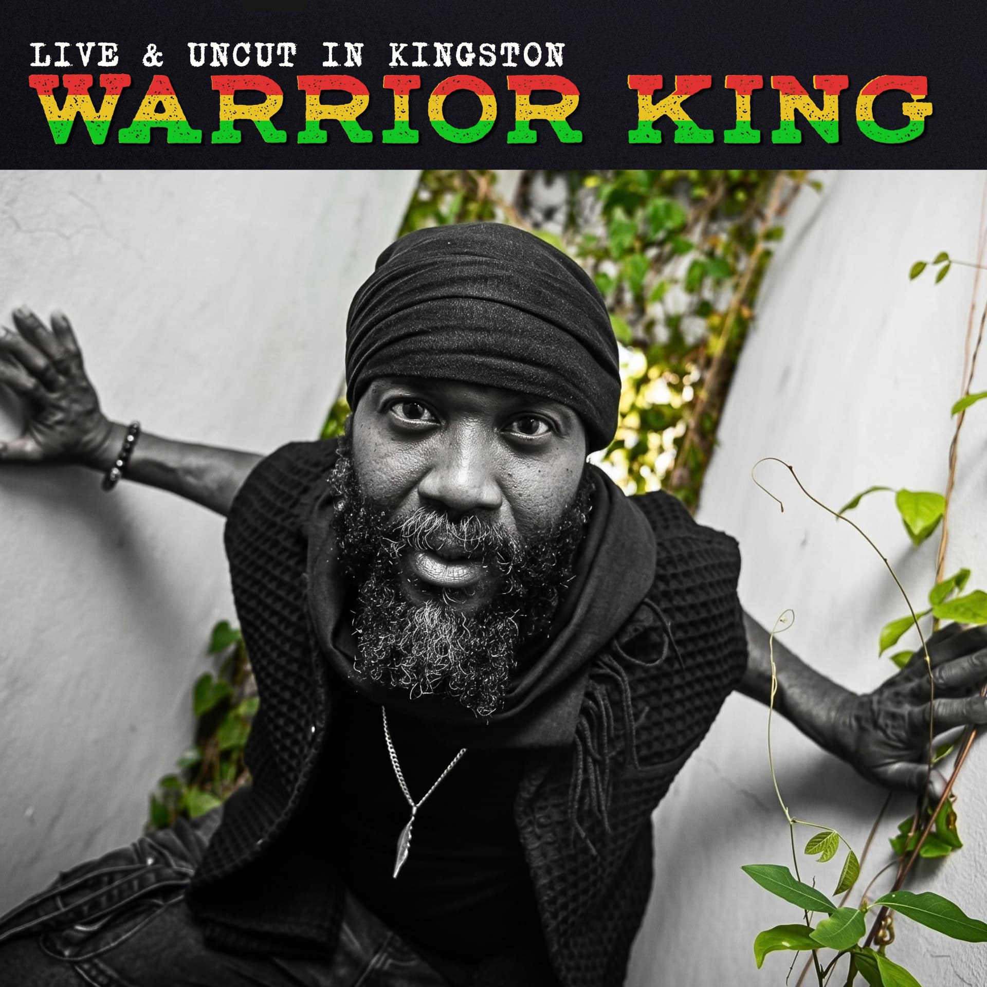 Warrior King — Live & Uncut in Kingston album cover